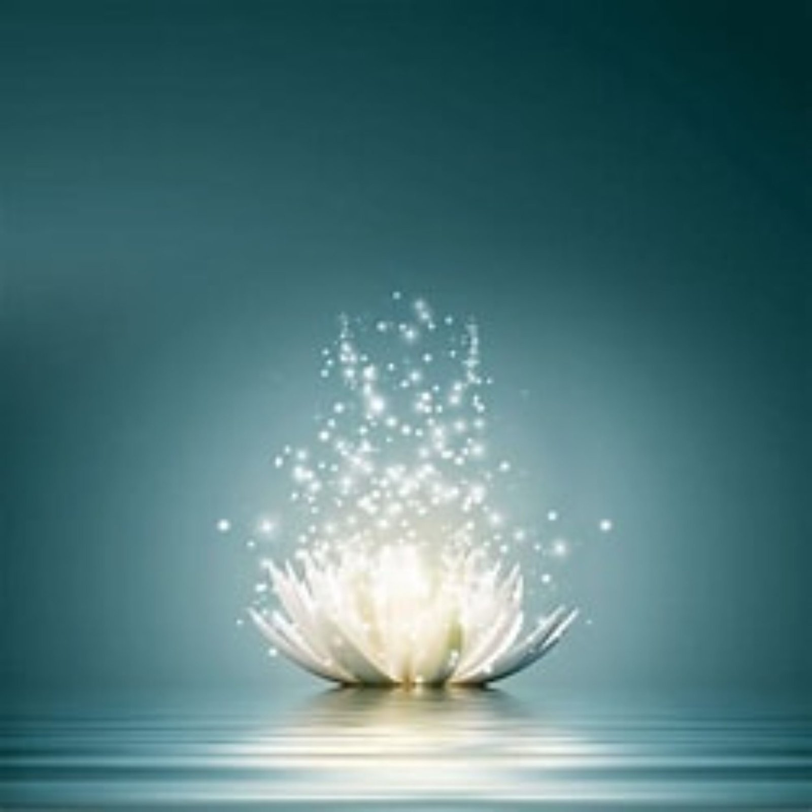 REJUVINATE YOUR LOVE LIFE +27720748505